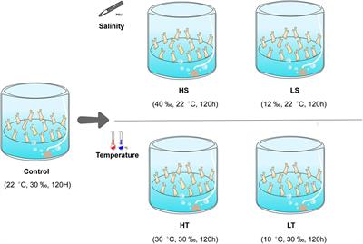 Proteomic Response to Environmental Stresses in the Stolon of a Highly Invasive Fouling Ascidian